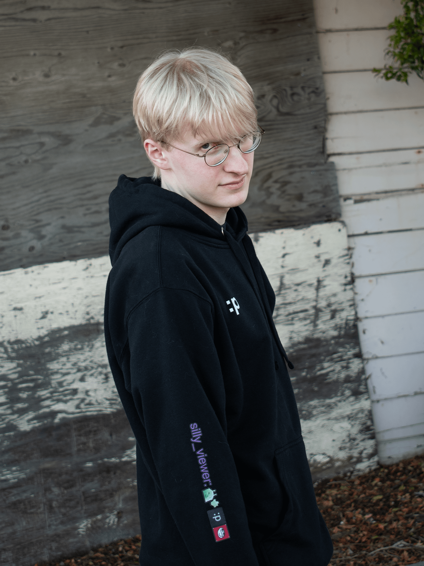 The Silly Hoodie product image (1)