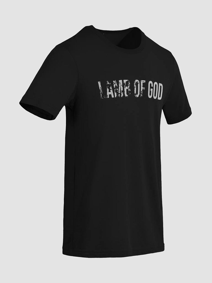 The Lives On HIGH | LOG | UNISEX Triblend Tee | Sport product image (14)