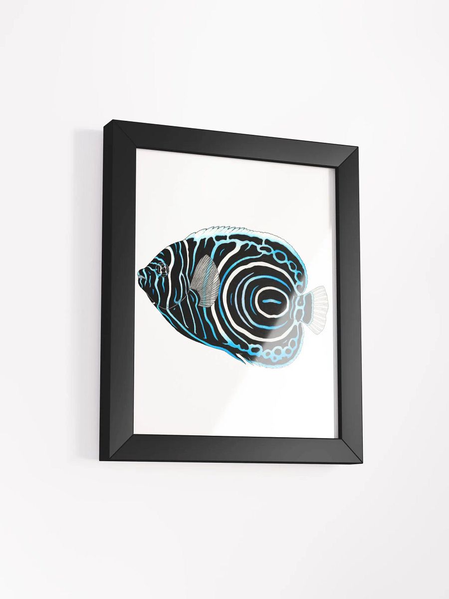 Angelfish framed print product image (2)