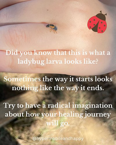 Ladybugs are known to be harbingers of unexpected blessings. They are associated with the Virgin Mary, and they are especiall...