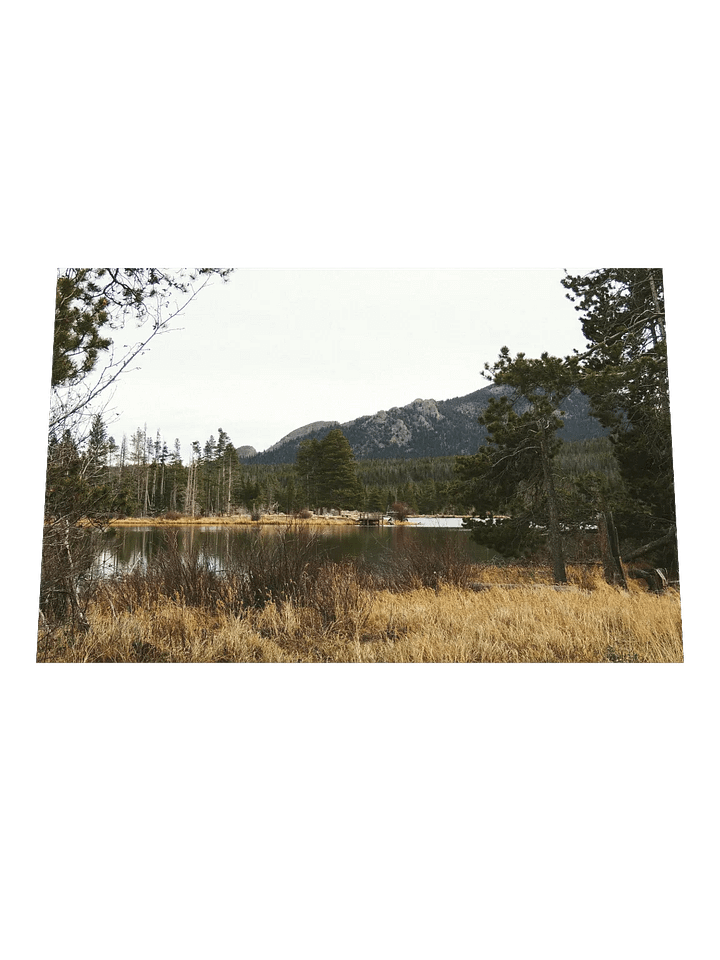 Sprague Lake Poster Print product image (2)