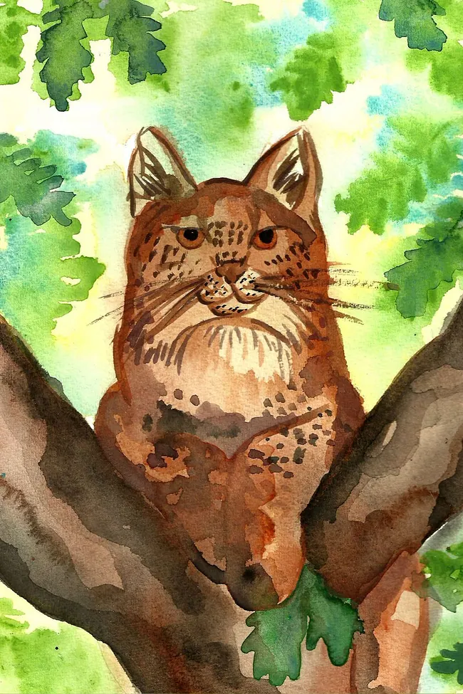 Animal Art Prints