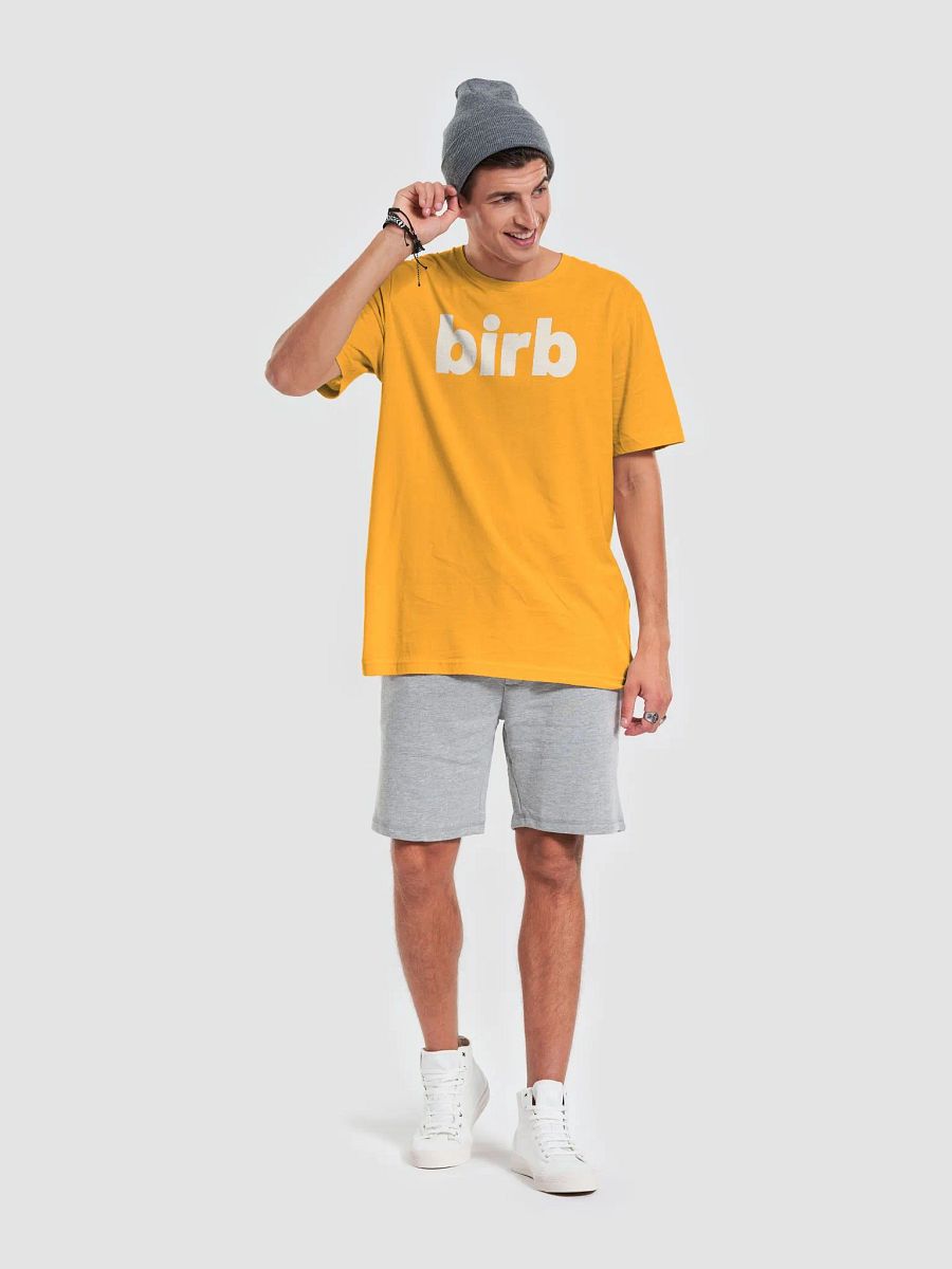 birb tee product image (69)