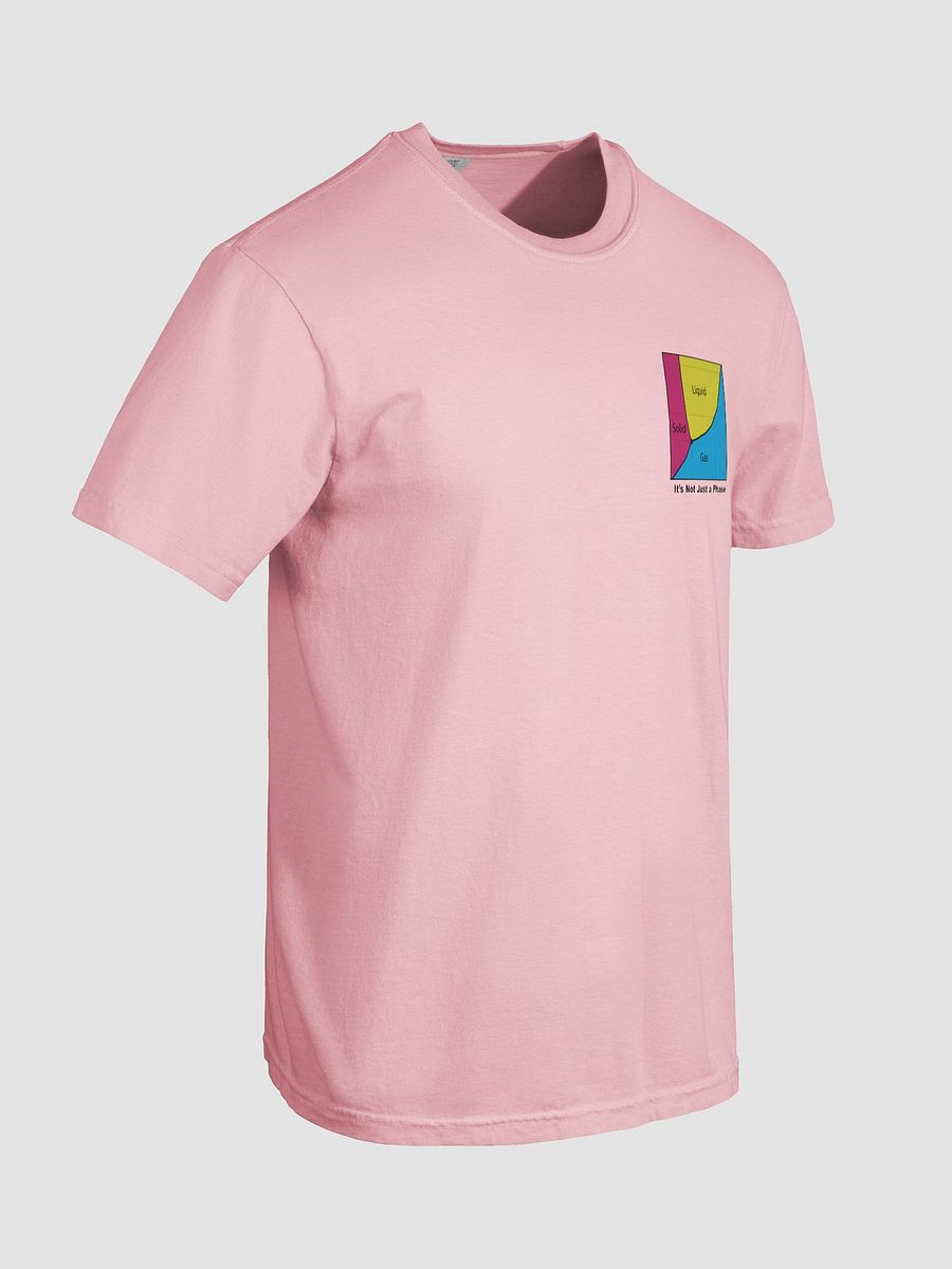 It's Not Just a Phase- Pan T Shirt product image (49)
