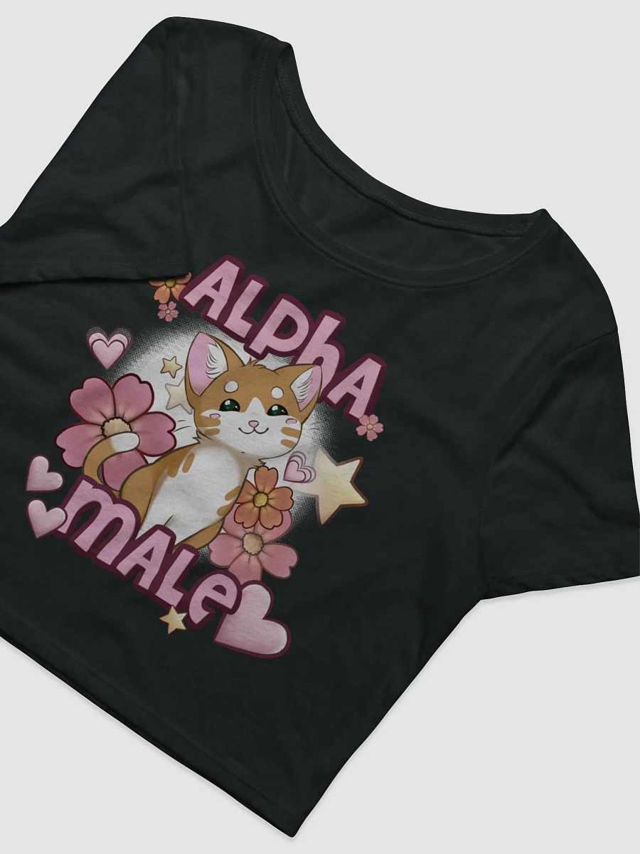 Alpha Male || Crop Top product image (5)
