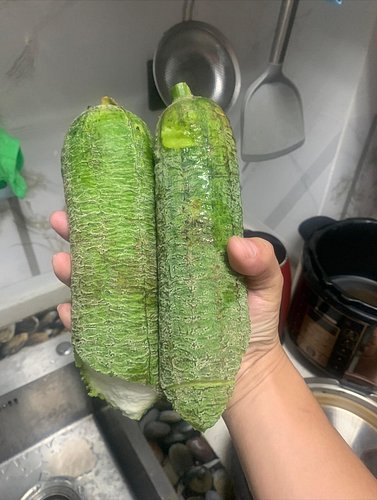 This is my lunch : towel gourd. I accidentally broke it into 2 parts