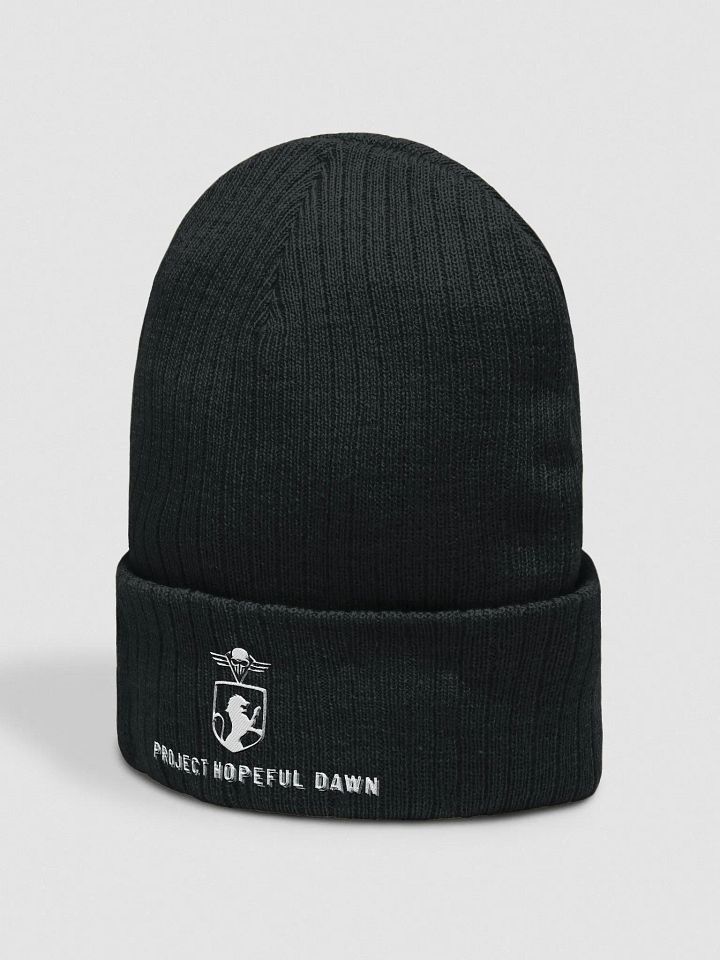 Hopeful Dawn Crowned Beanie GEN II product image (4)
