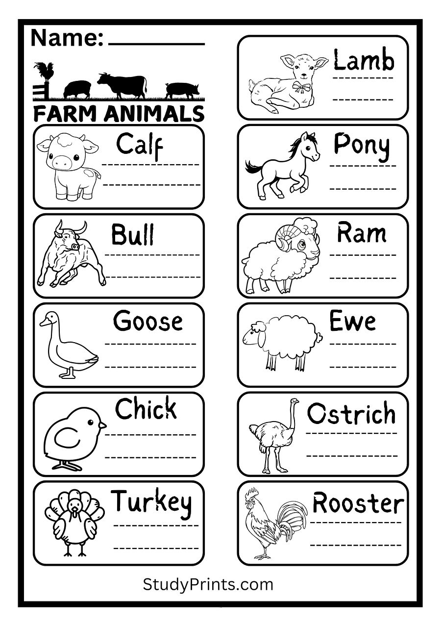 Farm Animals Matching Worksheet Printable product image (2)