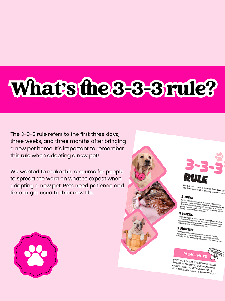 3-3-3 RULE FLYER & POSTS product image (2)