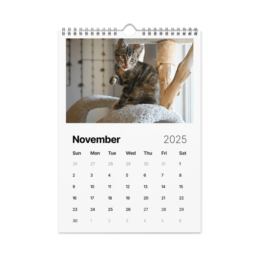 Noah and Friends 2025 Calendar product image (11)