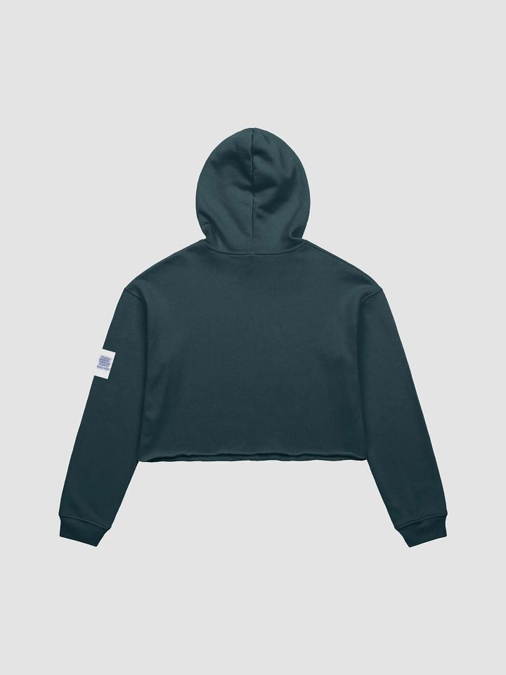 SinisterSushii Big ol' Battery Cropped Hoodie product image (17)