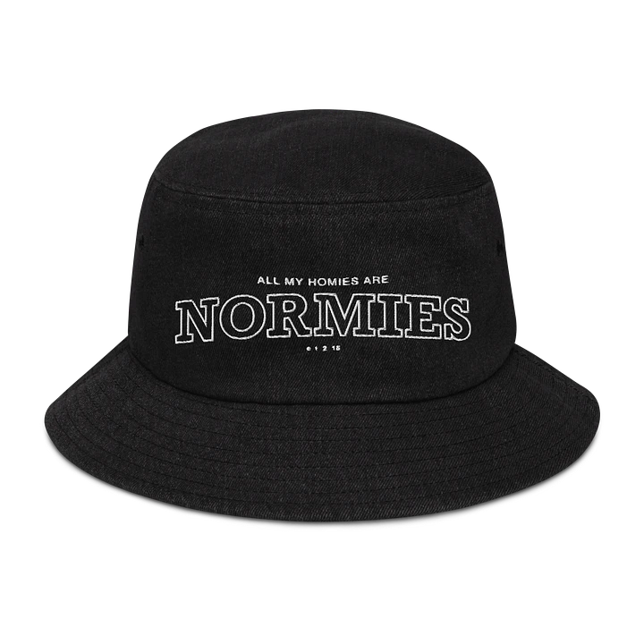 All of My Homies are Normies - Bucket Hat product image (1)