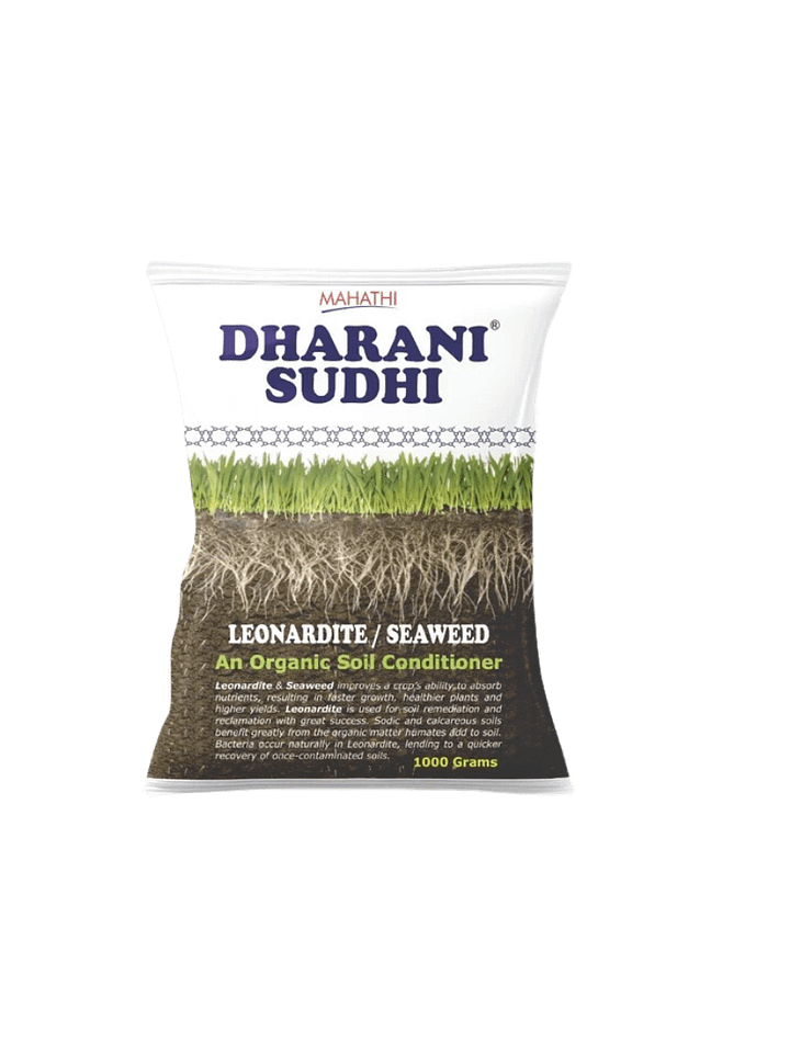 Dharani Sudhi product image (1)