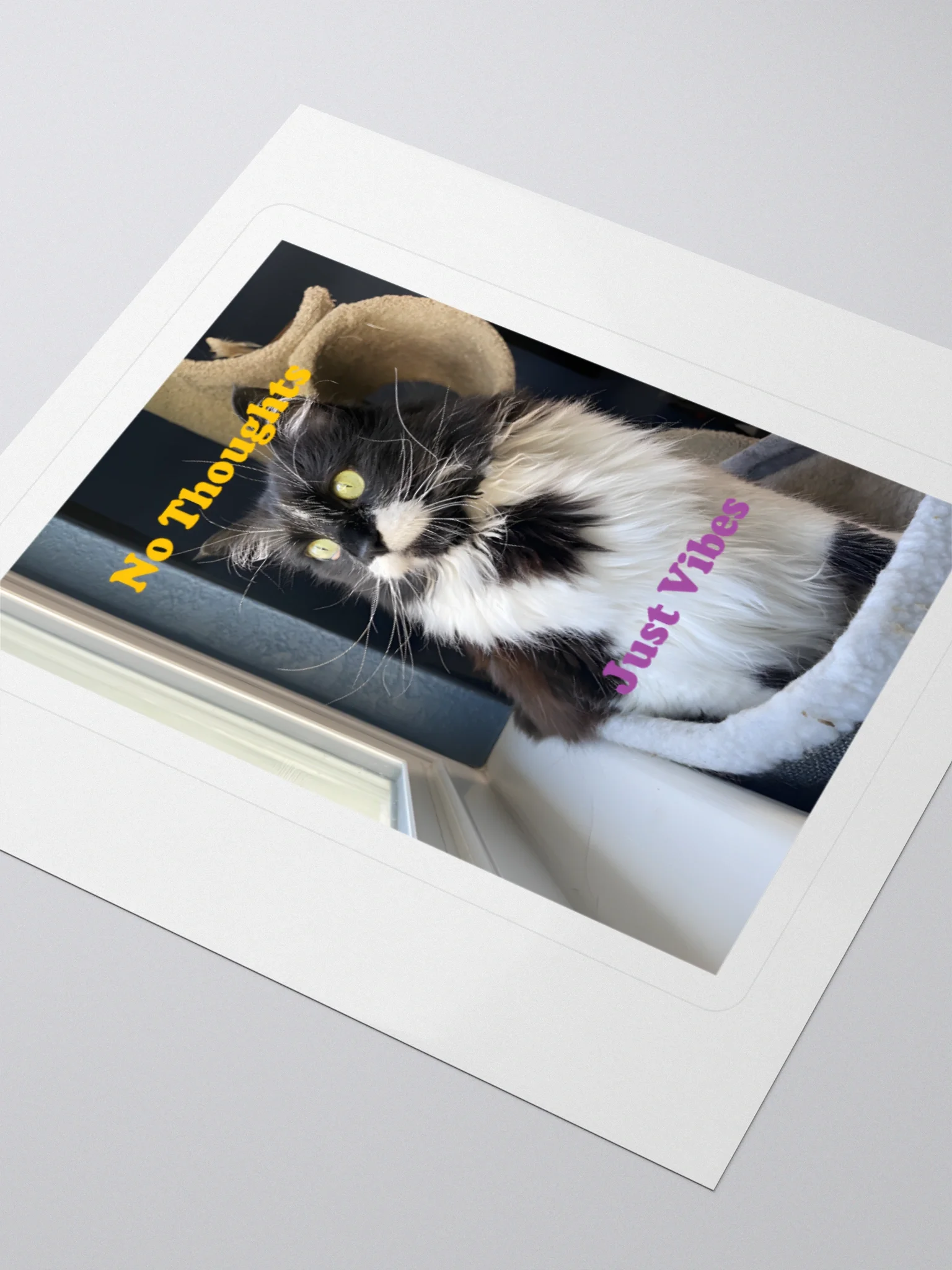 No Thoughts Sticker product image (9)