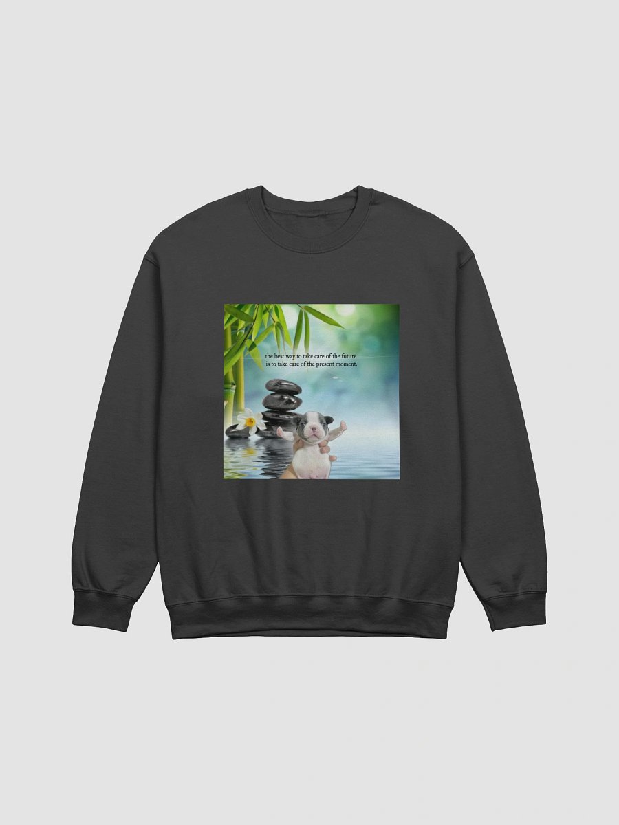 the present moment (crewneck) product image (6)