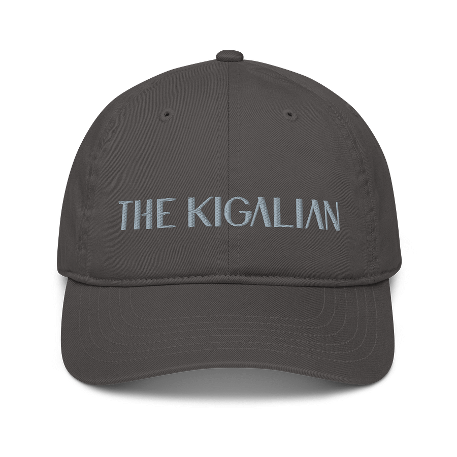 Econscious Organic Dad Hat product image (1)