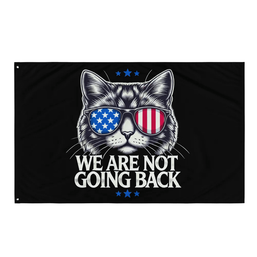 US Election Day 2024 We Are Not Going Back Cat America Flag product image (11)
