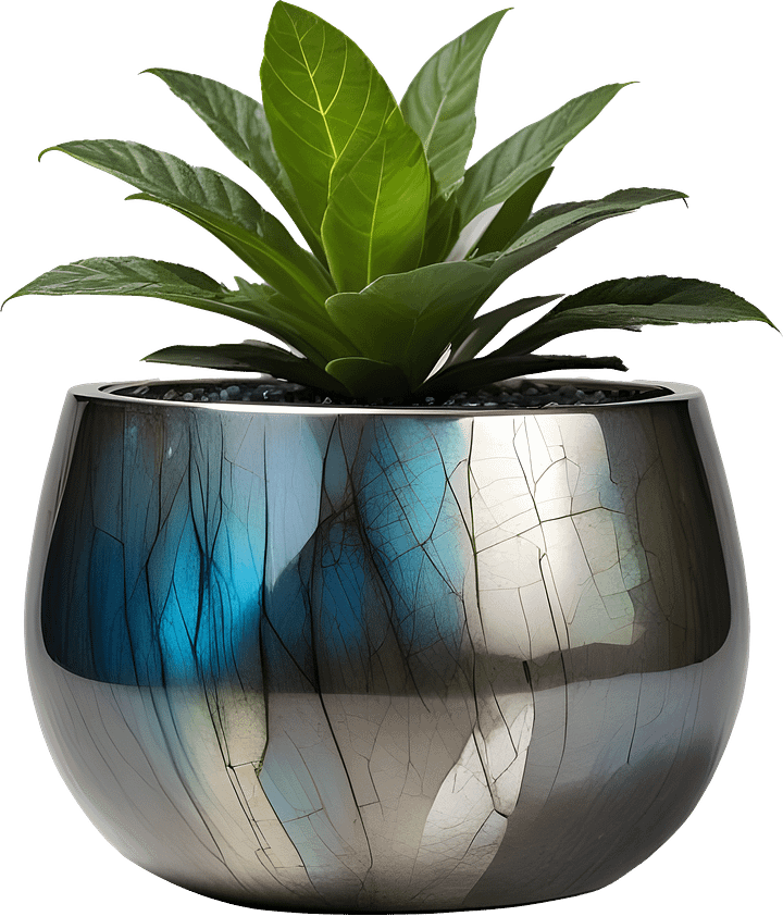 Stellar Luxe – Labradorite & Silver Planter PNG product image (1)