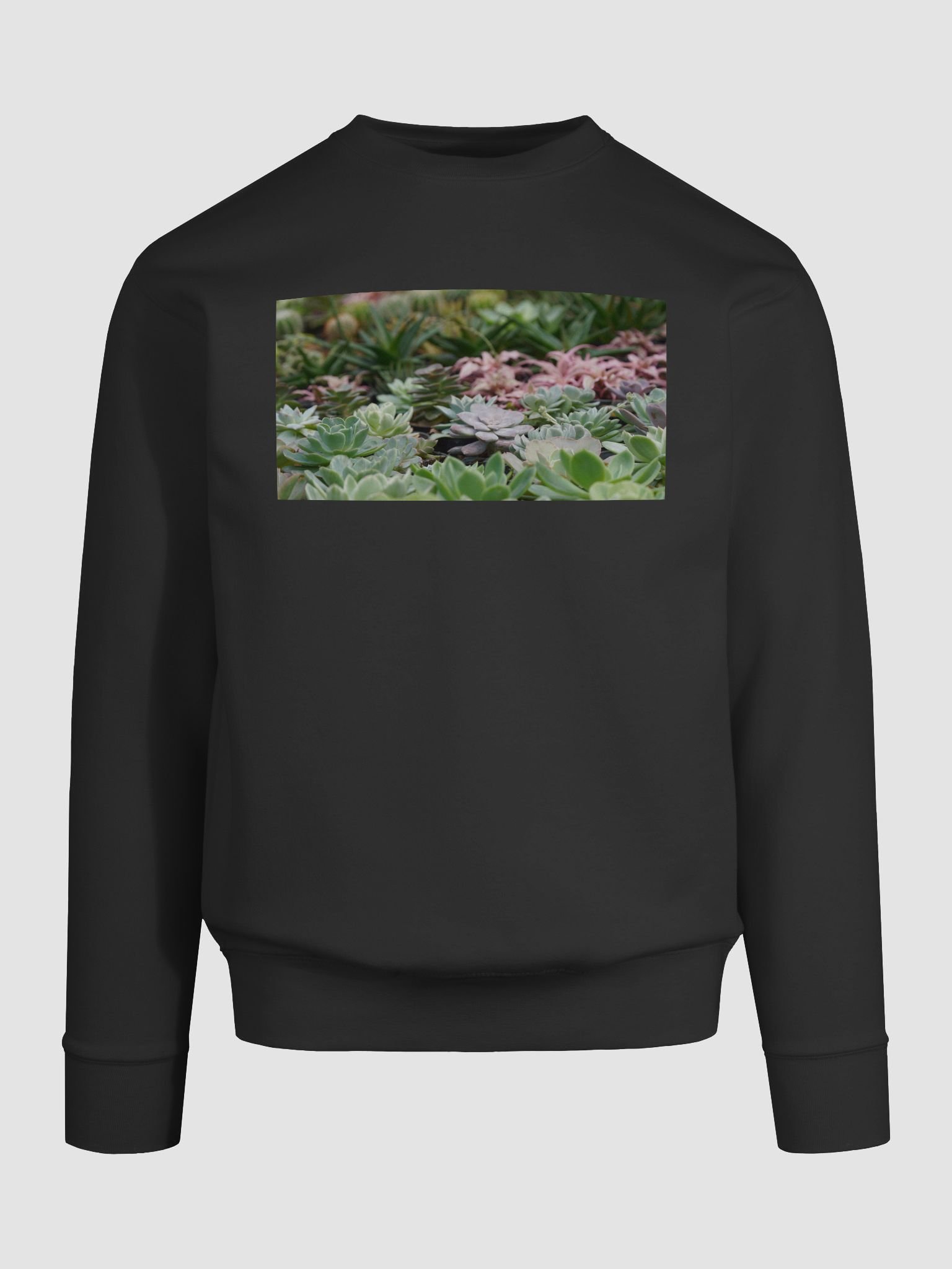 Succulent Serenity Premium Sweatshirt product image (9)