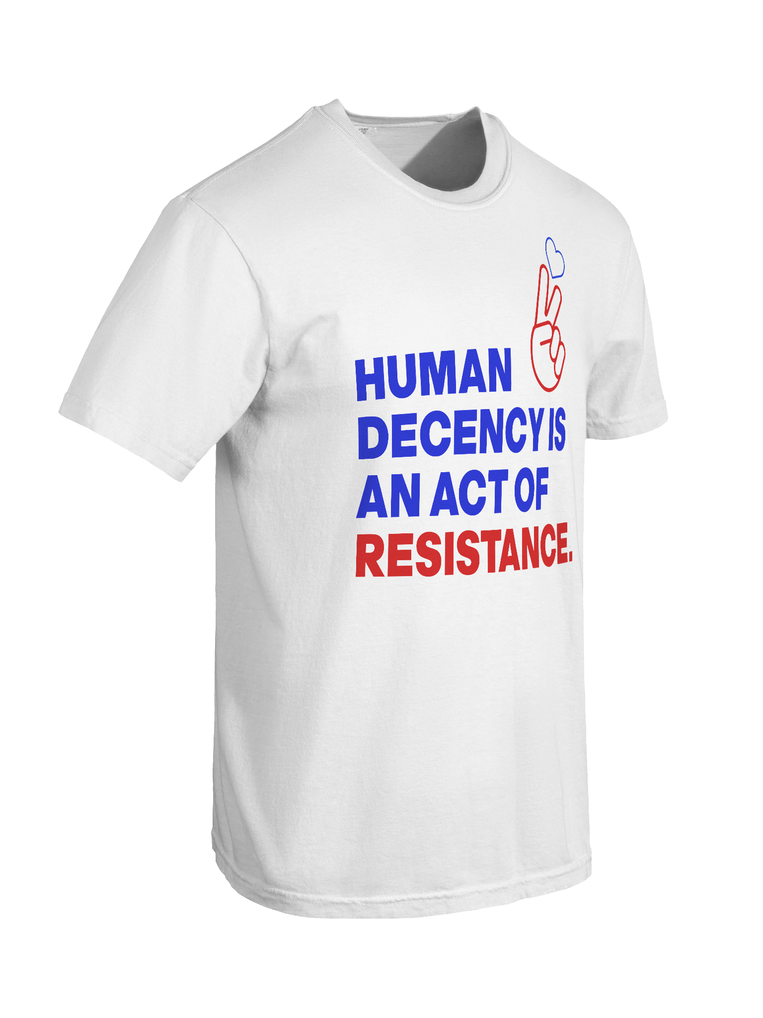 HUMAN DECENCY IS AN ACT OF RESISTANCE product image (5)