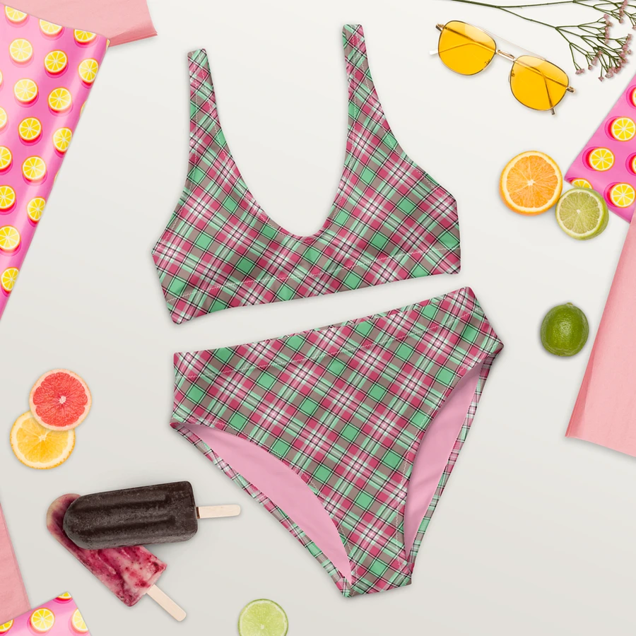 Mint Green and Pink Plaid Bikini product image (6)