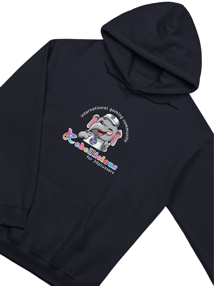 Gildan Classic Hoodie product image (2)