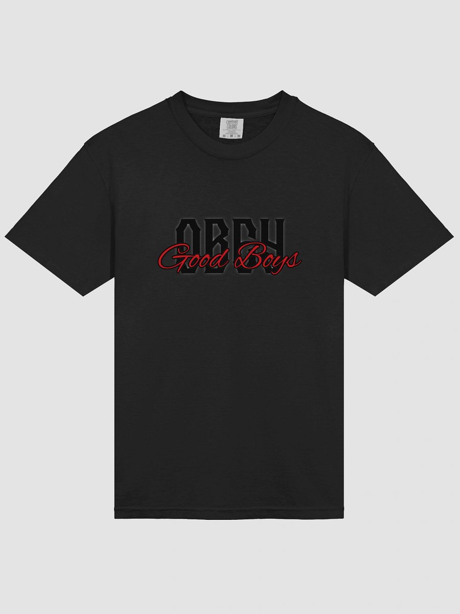 Good Boys Obey T-Shirt product image (15)