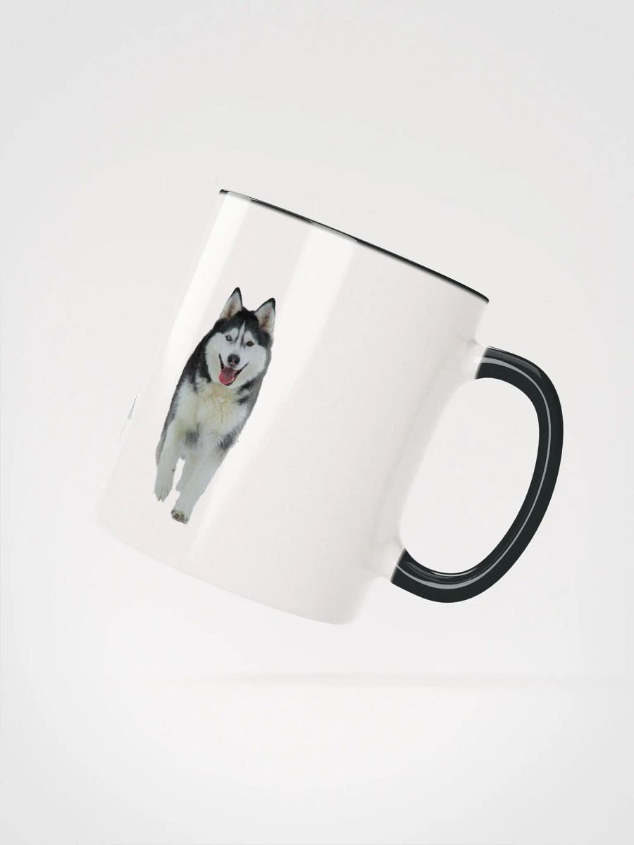Majestic Siberian Husky with two different colored eyes product image (4)