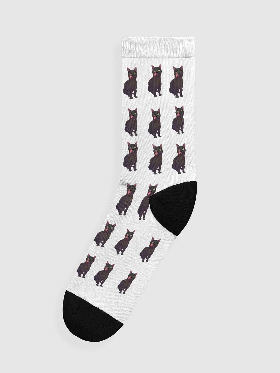Raven socks product image (1)