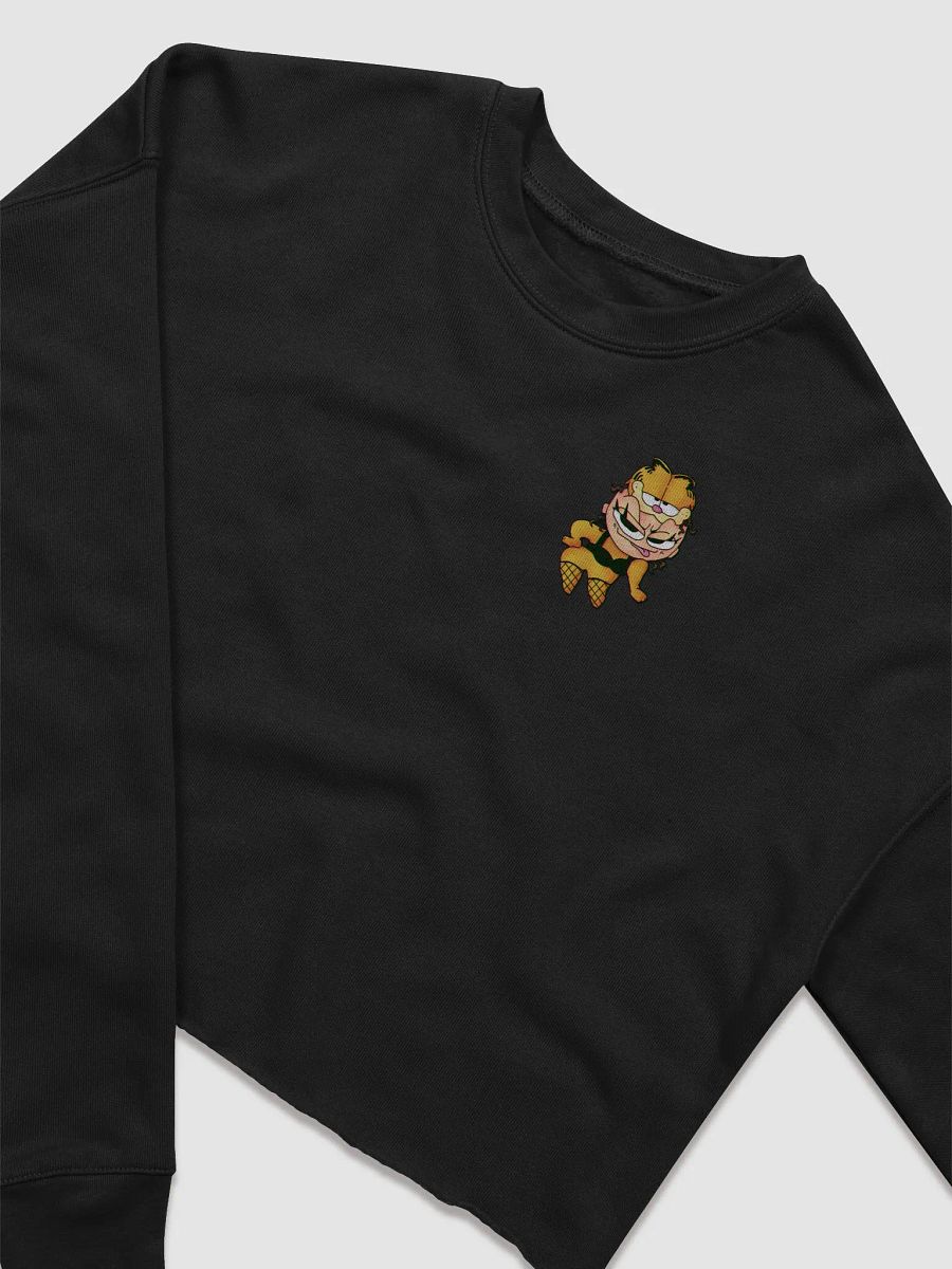 Sexi Gafoog Crop Sweatshirt product image (3)