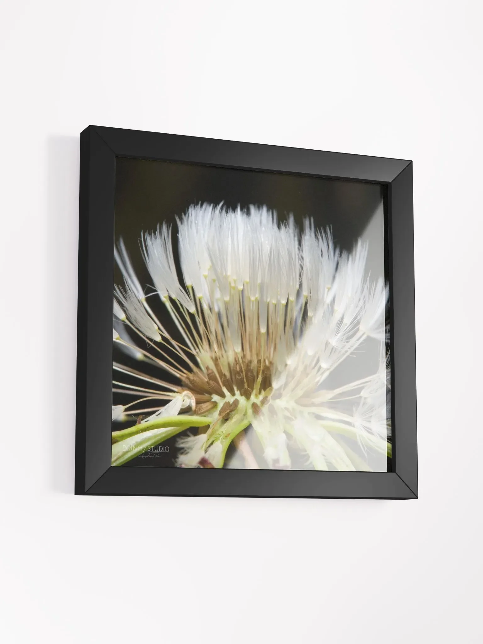 Dandelion #10 - Framed Print product image (3)