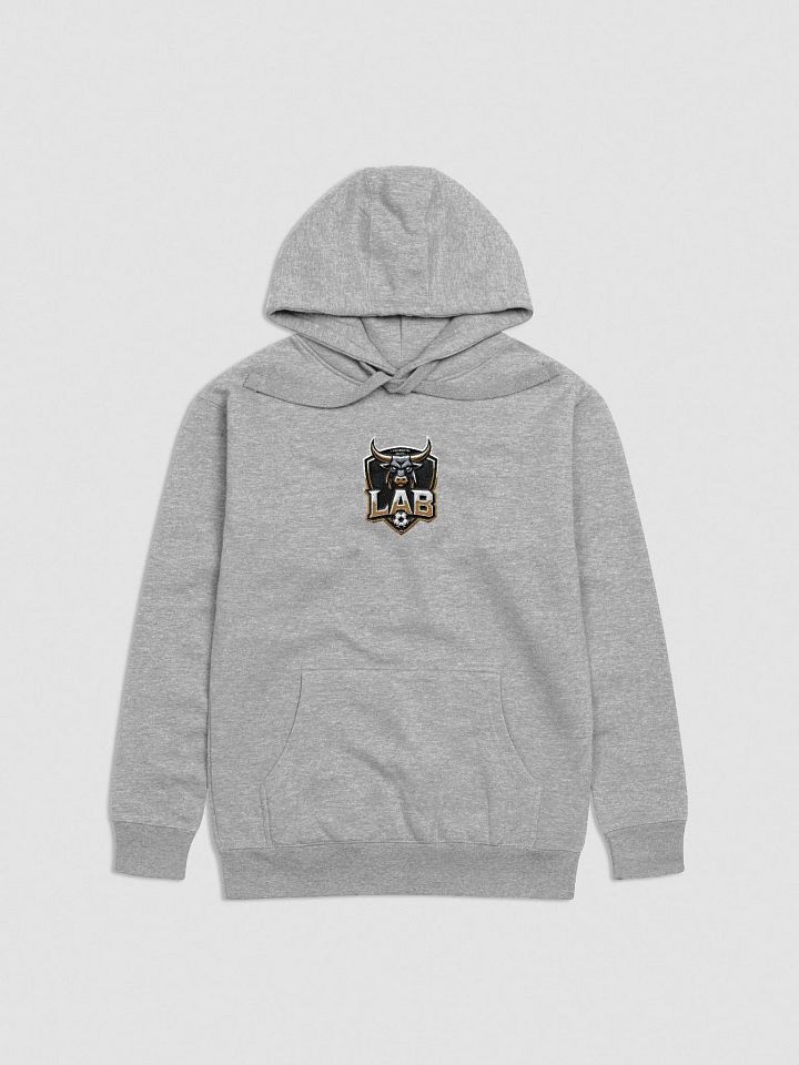 PPC Lab hoodie product image (1)