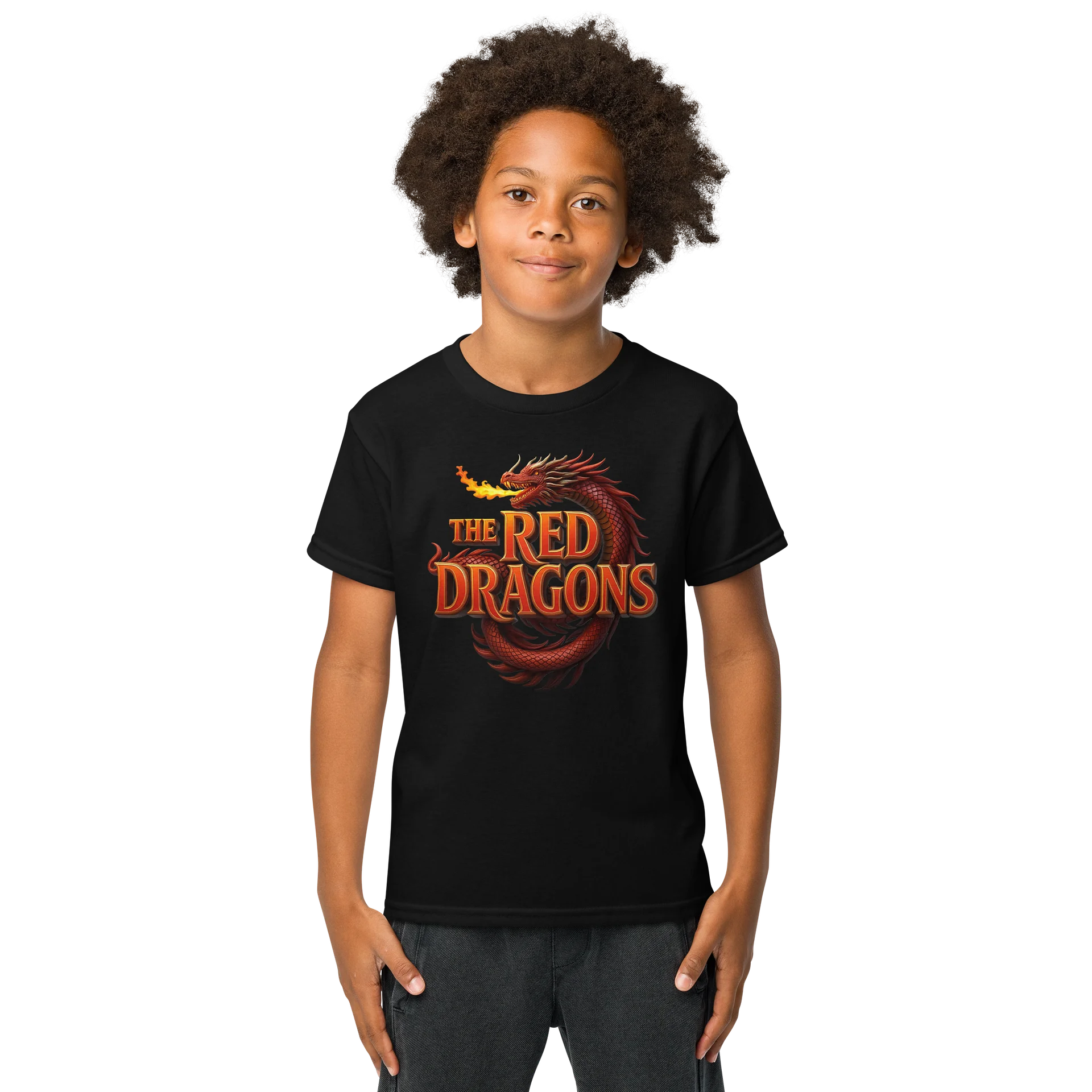 Poetry Life League: The Red Dragons product image (1)