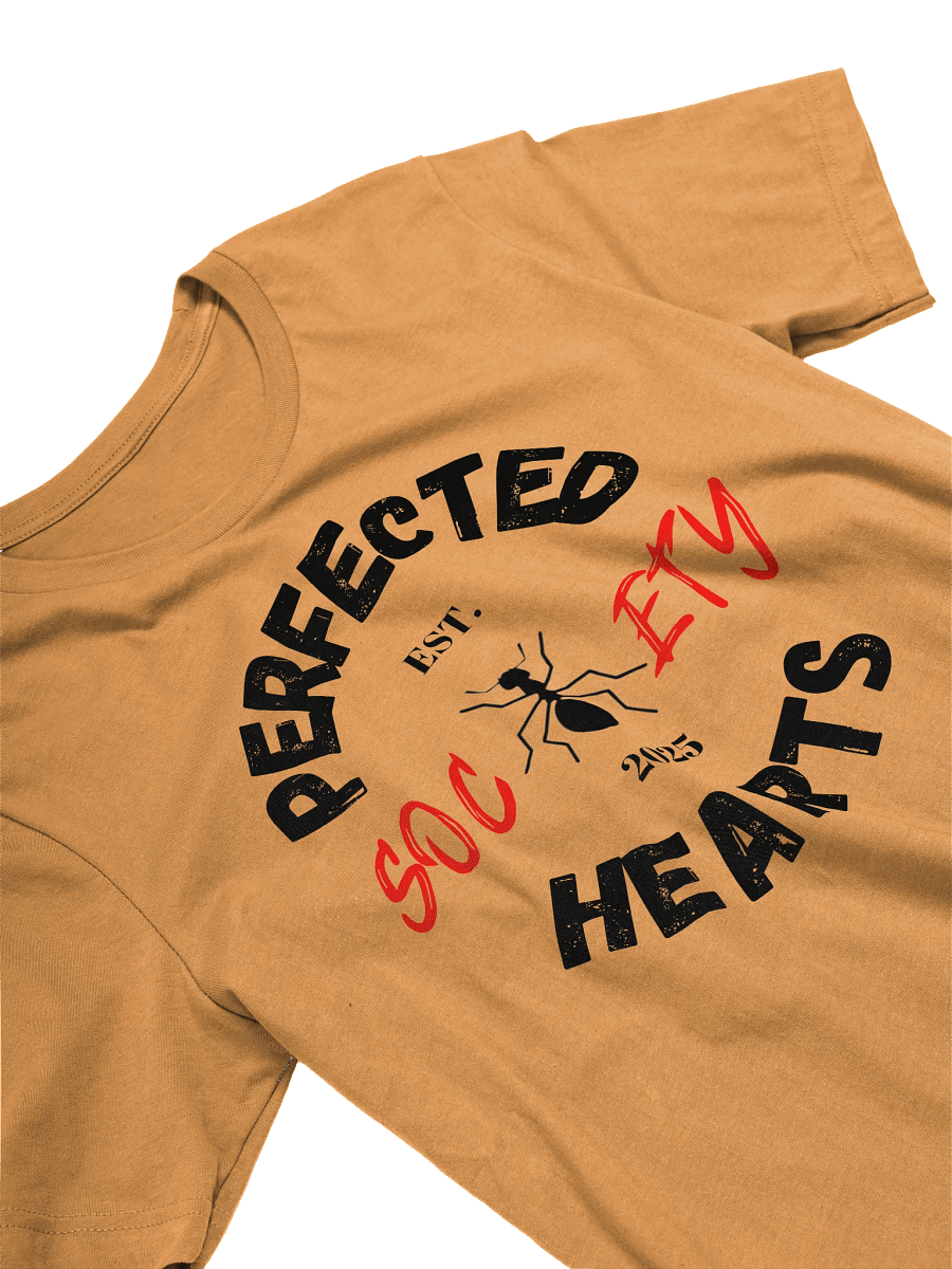PHS Logo Tees (Light Colors) product image (26)
