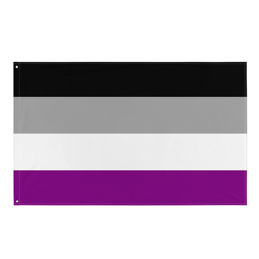 Asexual Pride Flag product image (1)