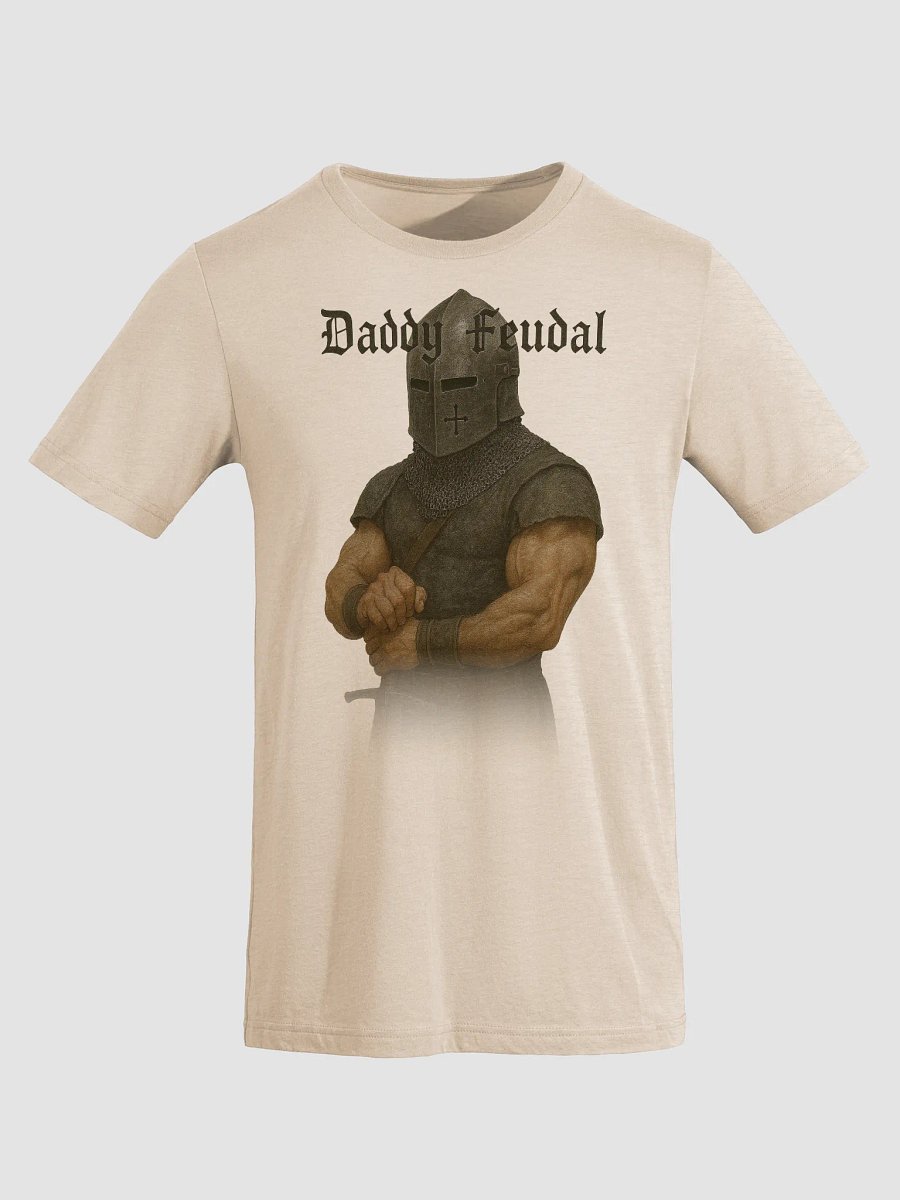 Daddy Feudal Tri-Blend T-Shirt product image (5)