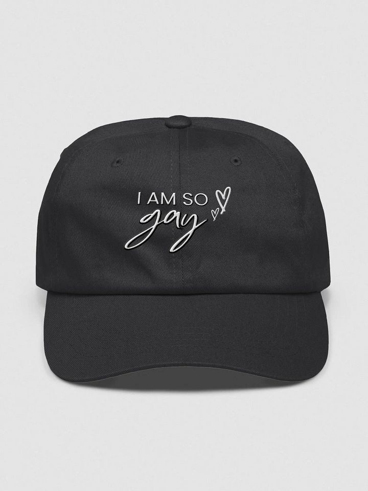 I am so gay hat product image (1)