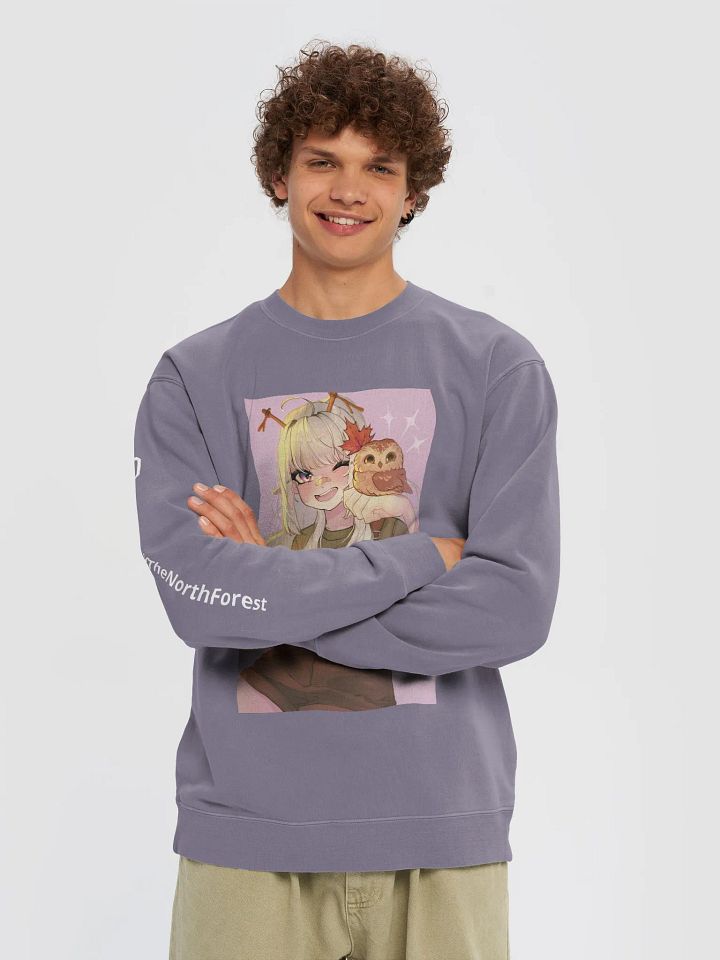 Northern Saw-whet Owl Midweight Pigment Dyed Sweater product image (14)