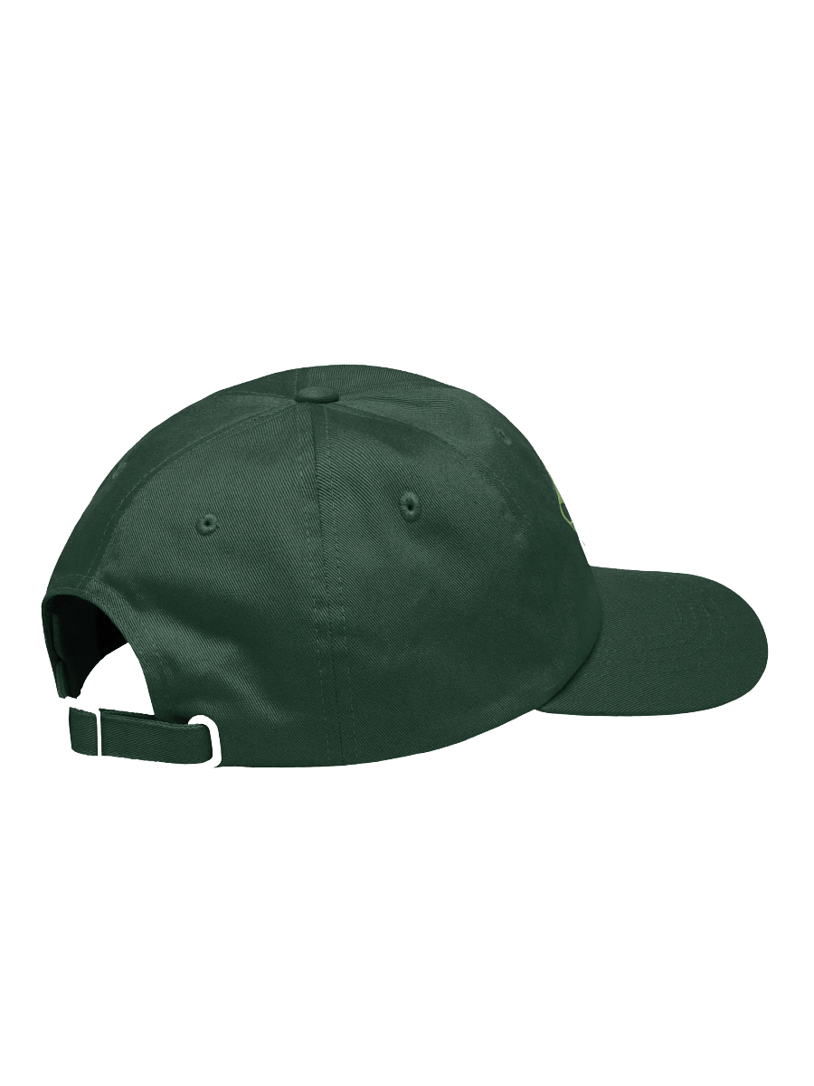 Make Roots Dad Hat product image (4)