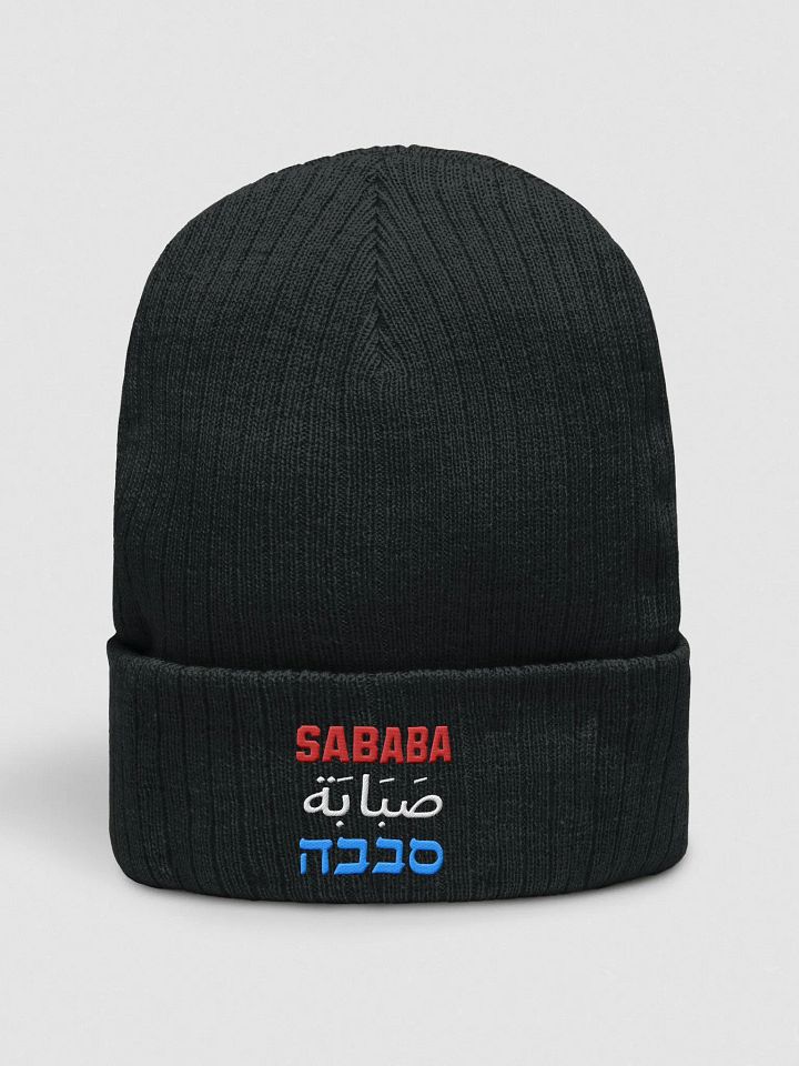 Sababa Embroidered Beanie product image (2)