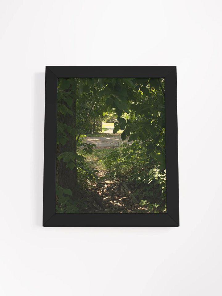 Nature Surrounded (framed) product image (1)