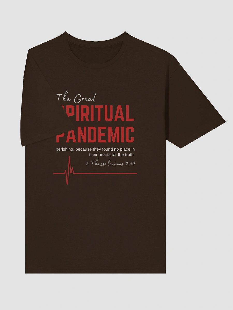 The Great Spiritual Pandemic Gilden Lightweight T-Shirt product image (5)