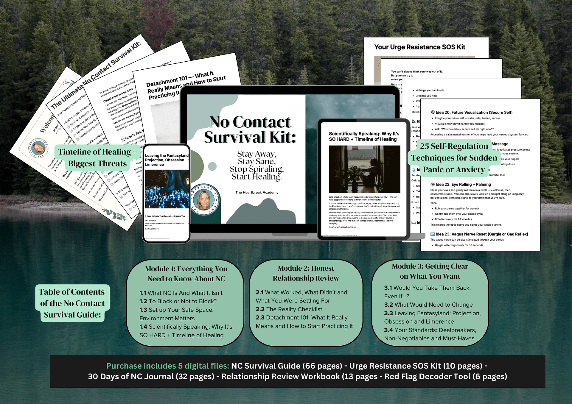 No Contact Survival Kit: The Ultimate Guide to Emotional Detachment and Nervous System Healing product image (1)