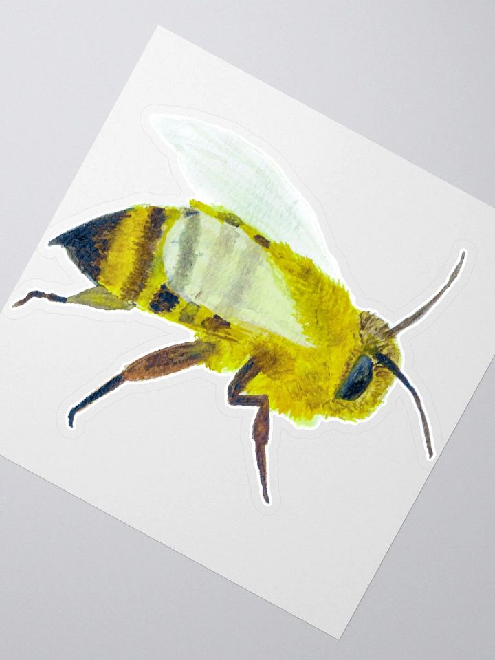 Big Bee product image (2)