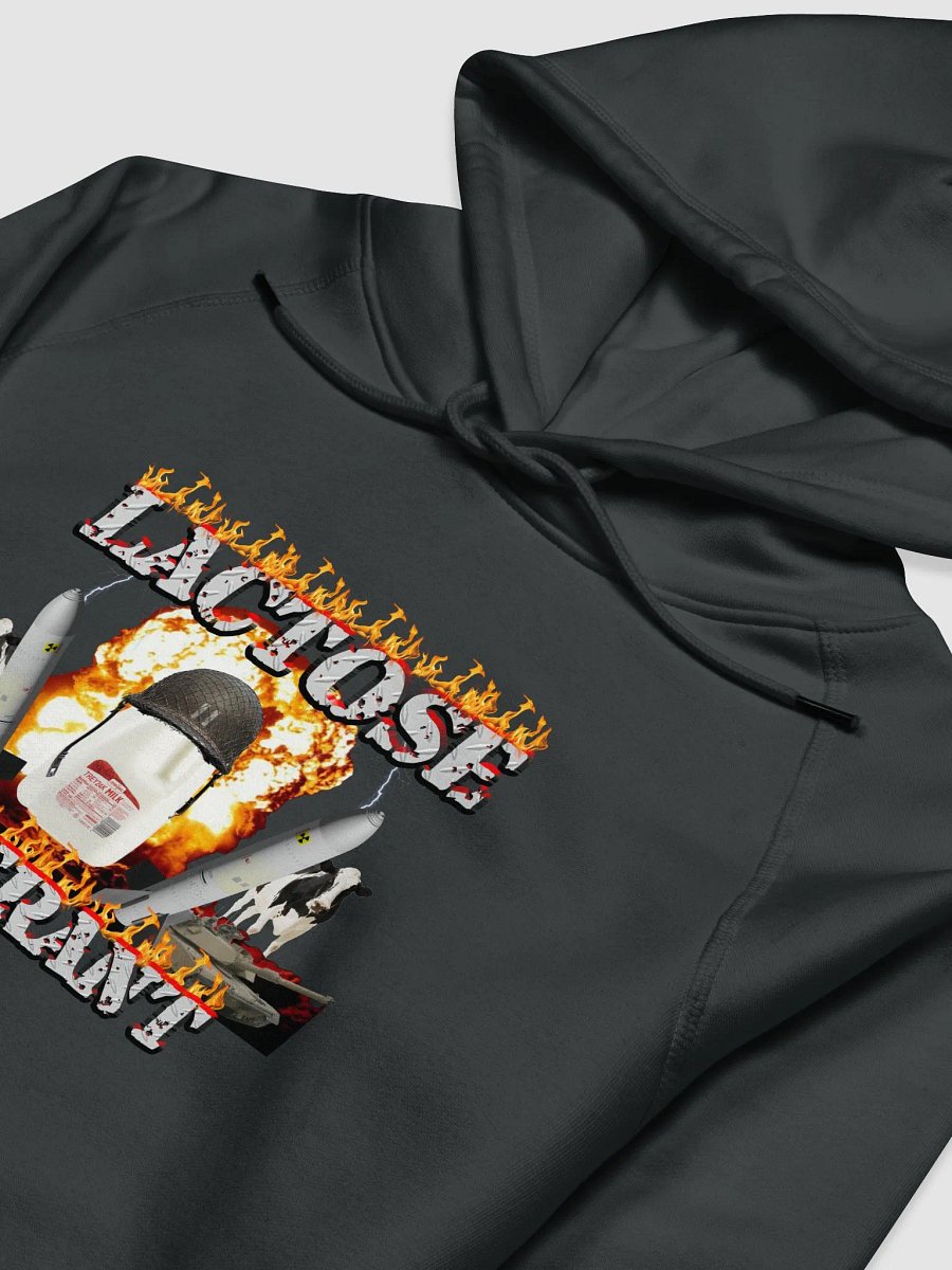 Lactose Tolerant Hoodie product image (5)