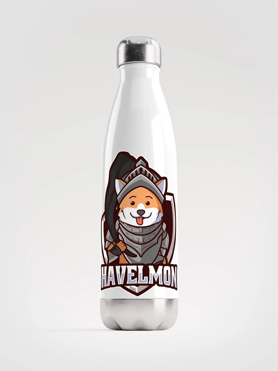 stainless steel water bottle product image (1)