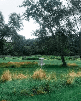 Mid Level Jungle product image (1)