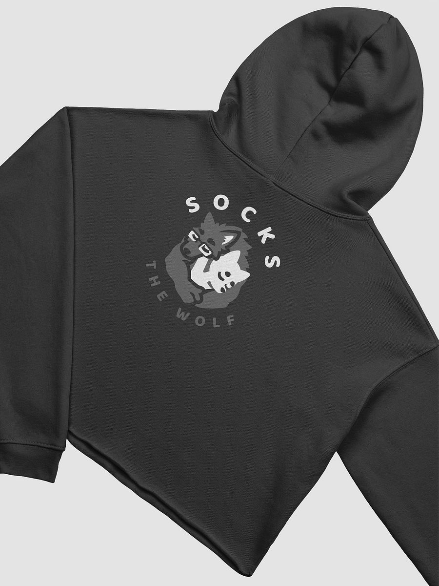 CropTop Hoodie product image (4)