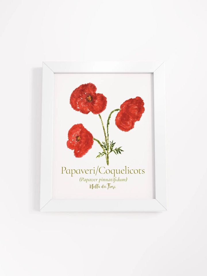 Papaveri Botanicus Frame product image (2)