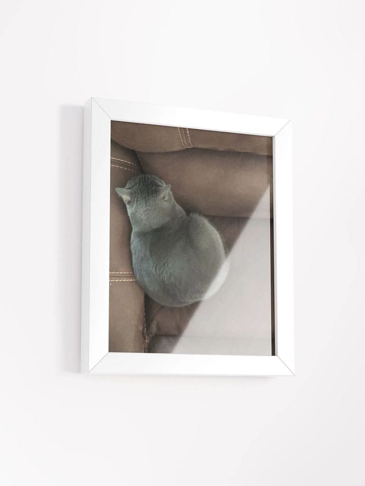 Sansa Kitty Couch Corner High Quality Matte Poster product image (2)